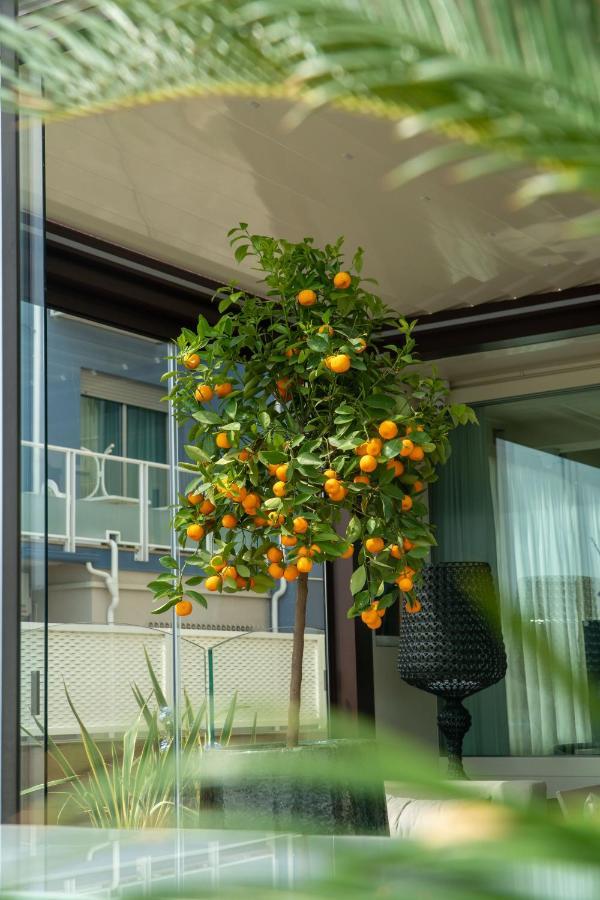 Hotel Orchidea Червия Экстерьер фото
